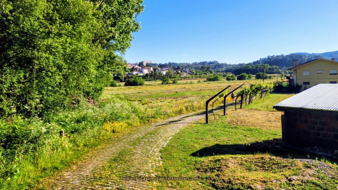 Cobblestone Lane through Valley