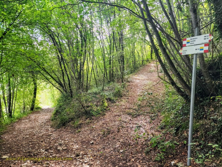 Way of St. Francis: Day Fifteen, Spoleto to Macenano - Descend Left Towards the Road and the Cemetery