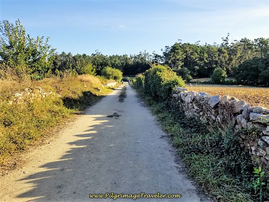 Gravel Lane toward Quintáns