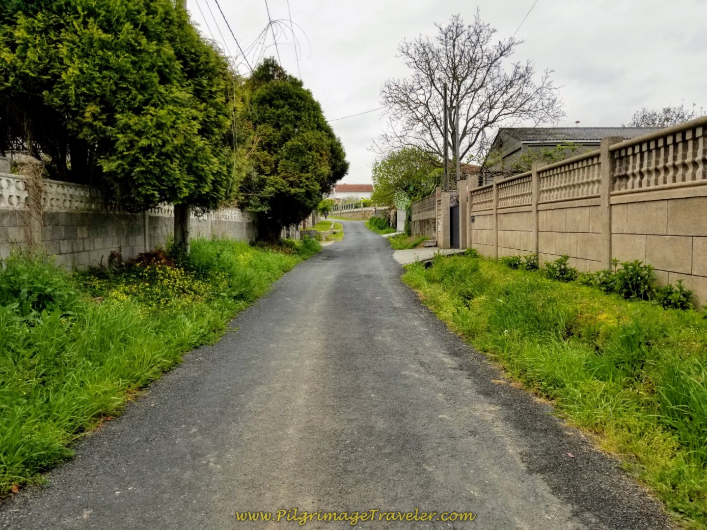 Path Joins the Camiño do Vilar Street and Keeps Climbing on day one of the Camino Inglés Path Joins the Camiño do Vilar Street and Keeps Climbing on day one of the Camino Inglés