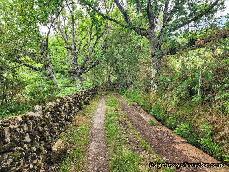 Picturesque, Walled Road
