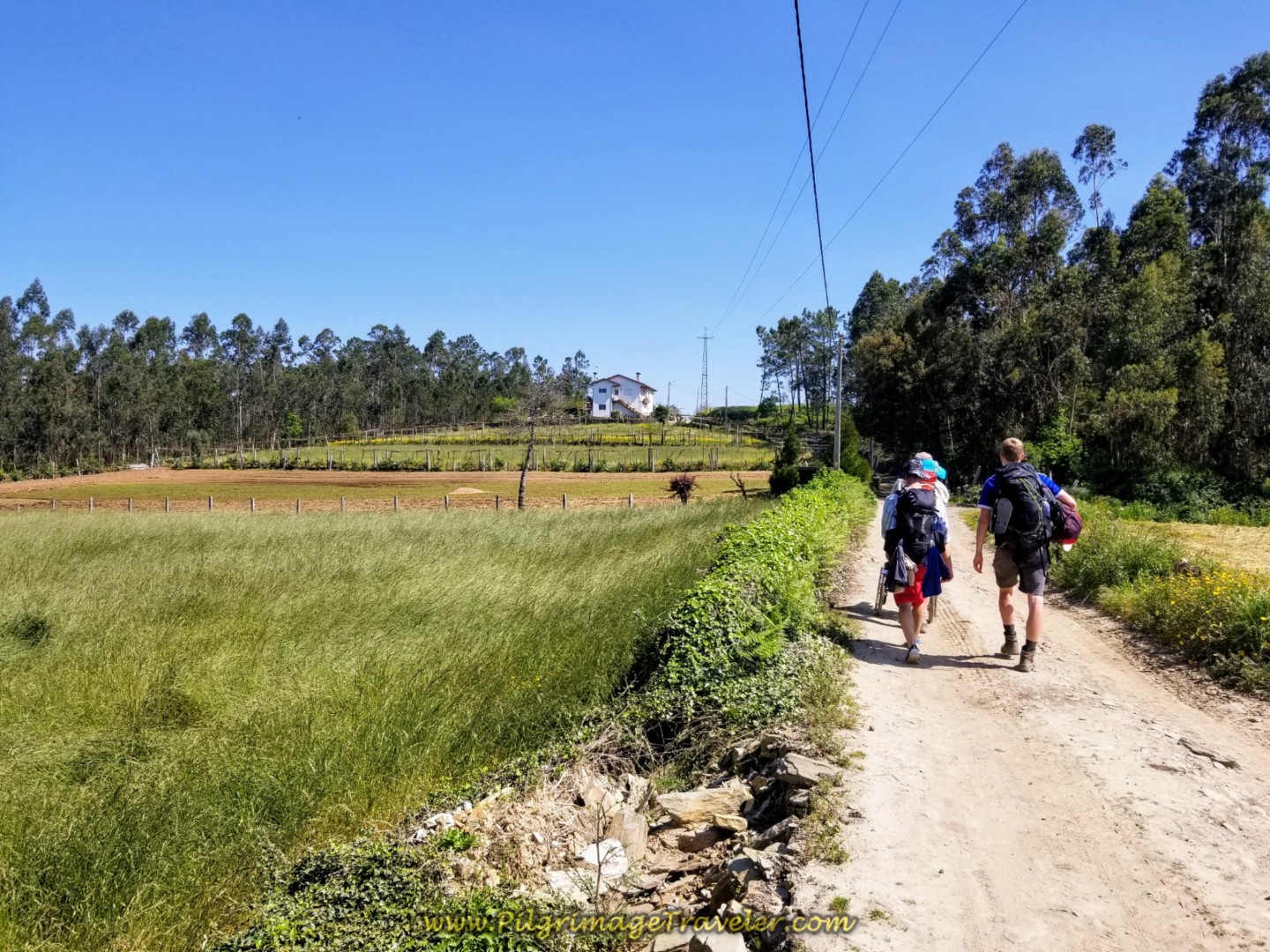 Onward on the Rua Caminho de Santiago on day sixteen on the Central Route of the Portuguese Way