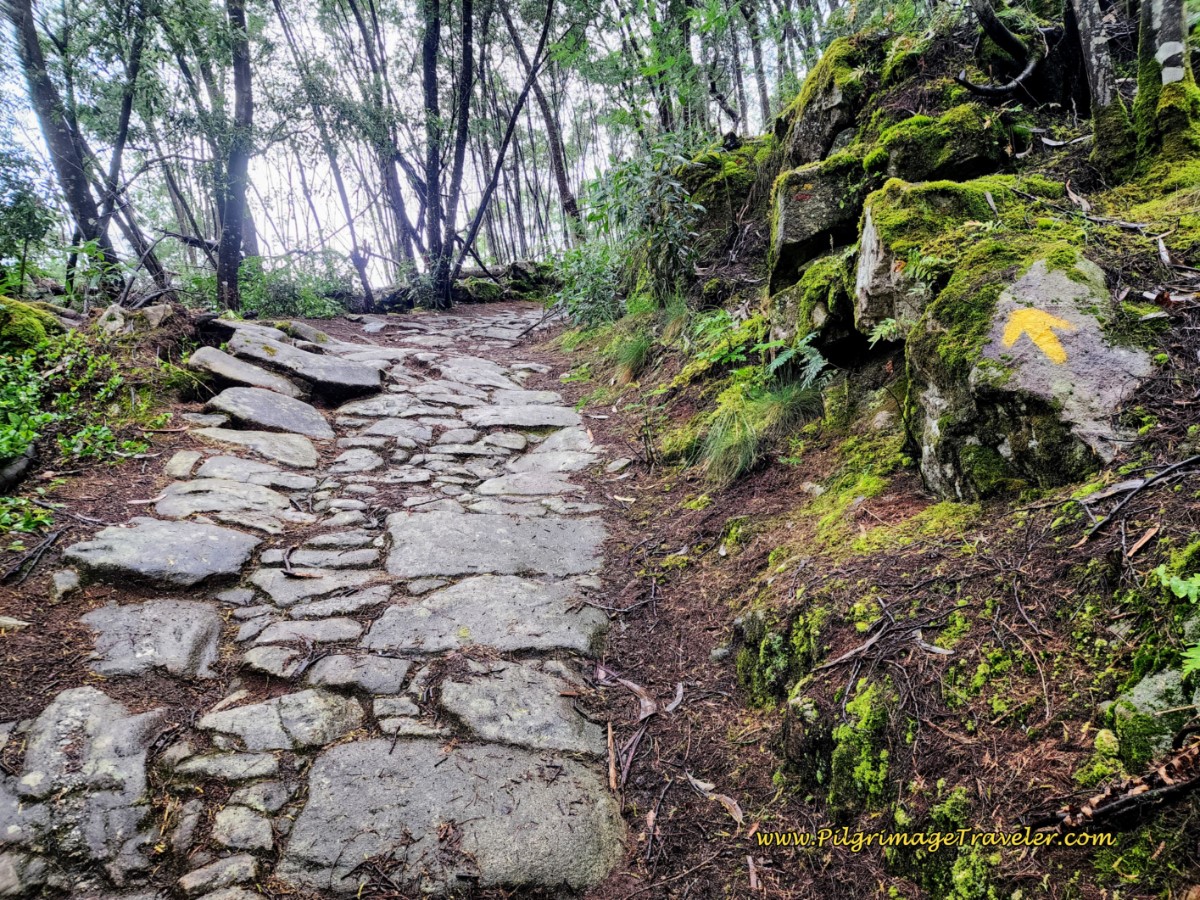 Short, Steep Climb on the Ancient Road Short, Steep Climb on the Ancient Road
