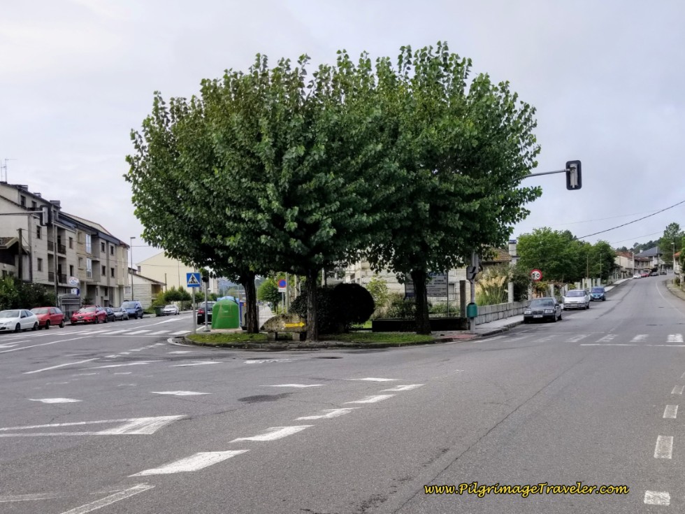 Stay Right at Y-Intersection in Reboredo