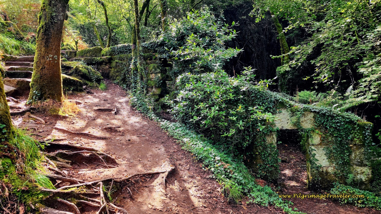 Totally Ruined Muiño