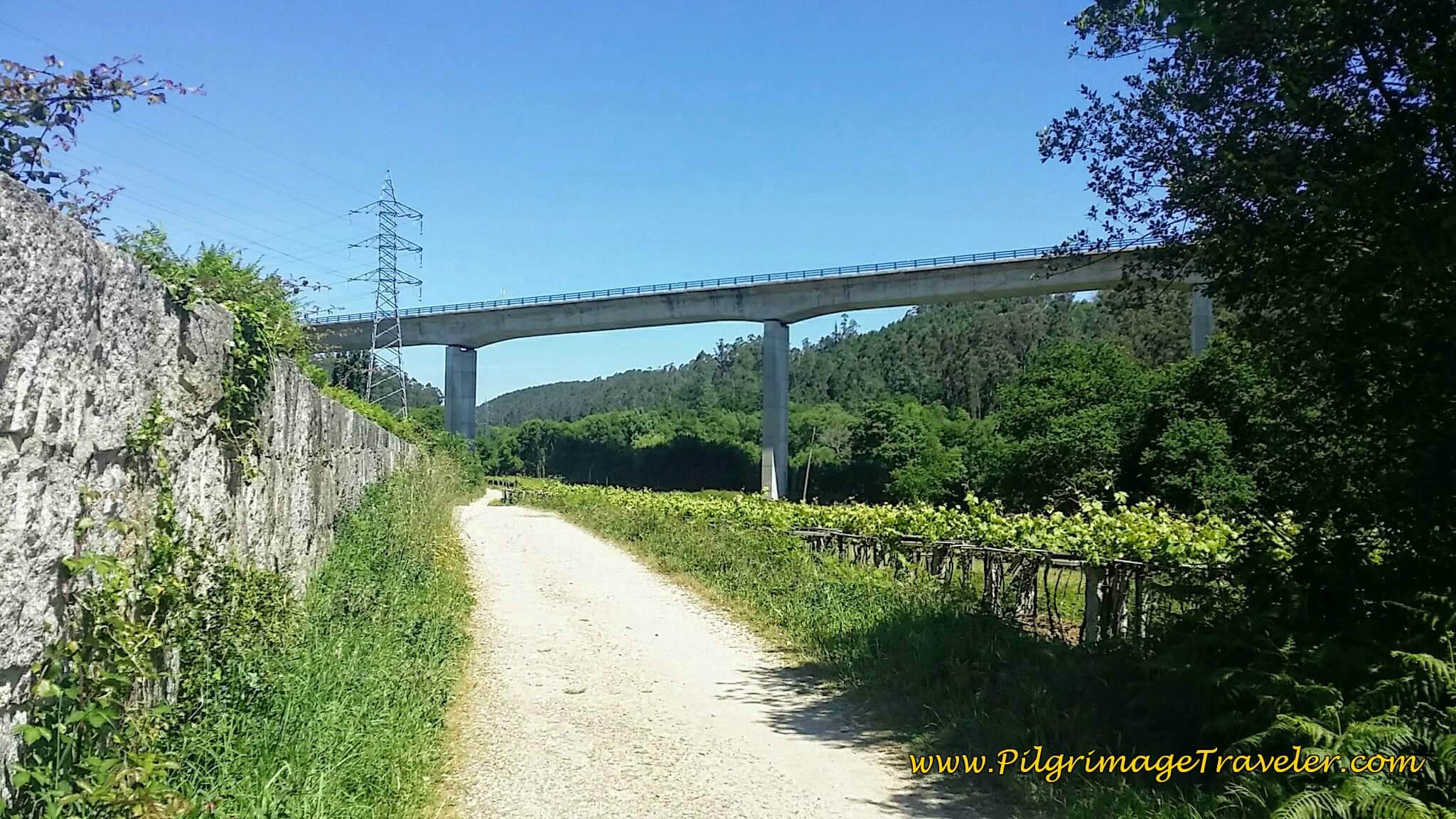 Walk Under N-550 Overpass on day twenty-three, Camino Portugués Walk Under N-550 Overpass on day twenty-three, Camino Portugués
