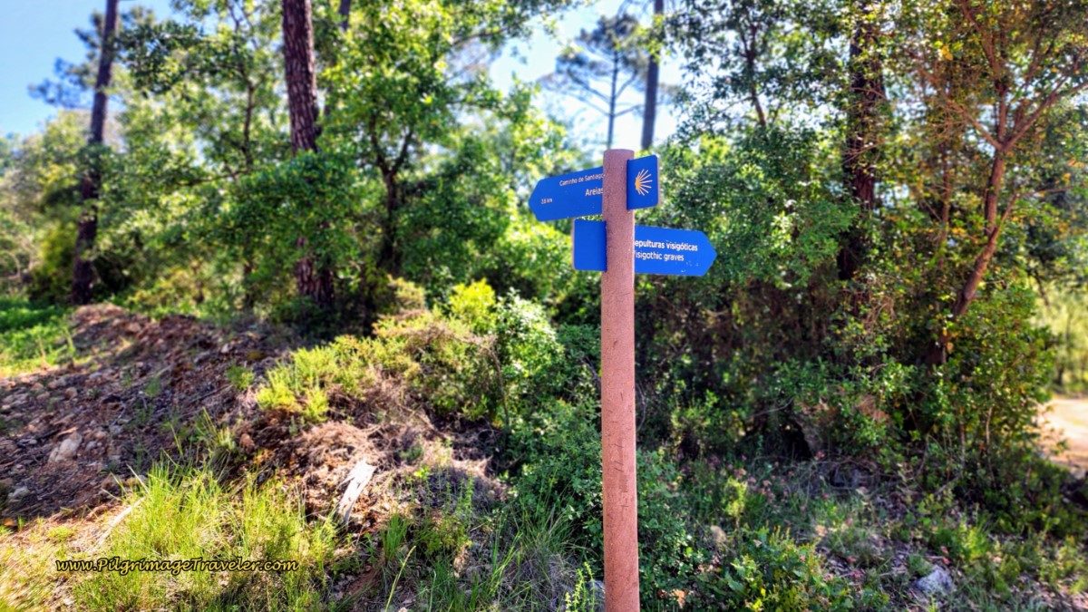 Turn for the Visigoth Graves