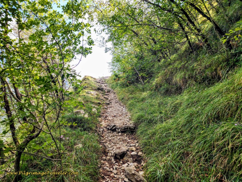 Way of St. Francis: Day Fifteen, Spoleto to Macenano - Trail to a Another View