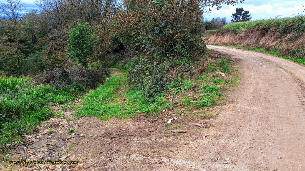 Veer Left Onto Rough Farmer’s Lane