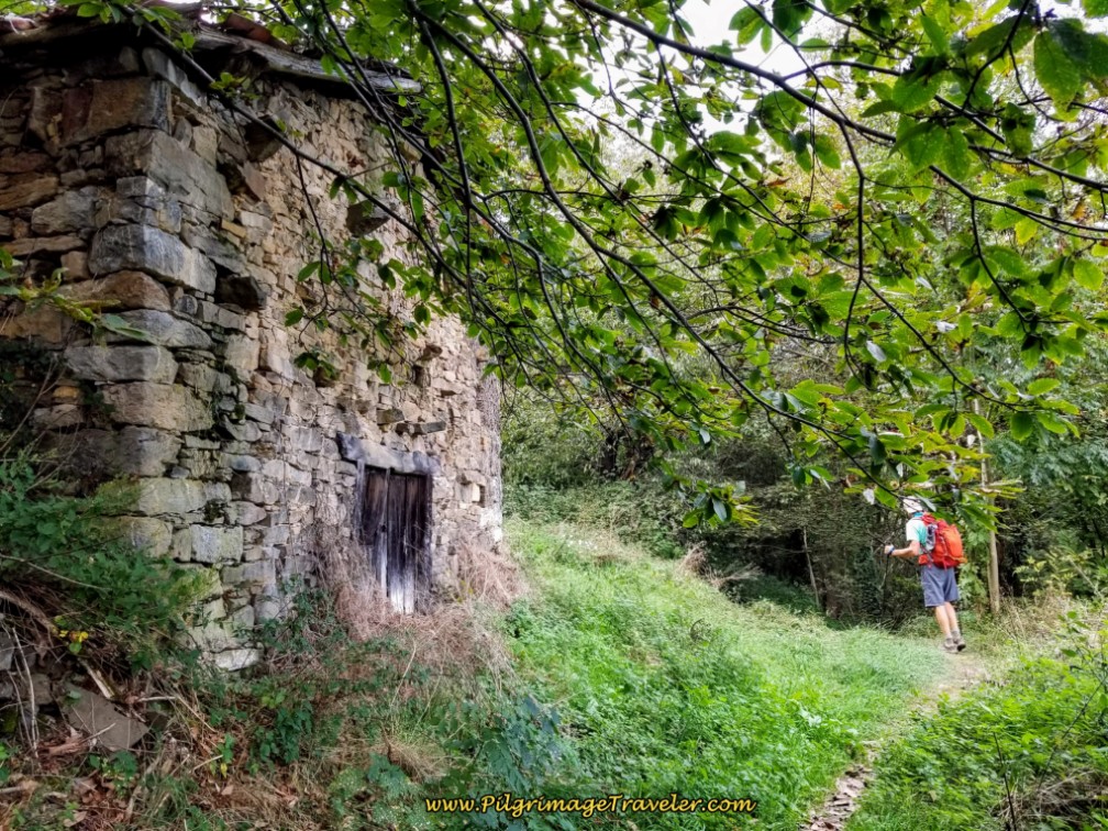Come to Abandoned Building in the Woods
