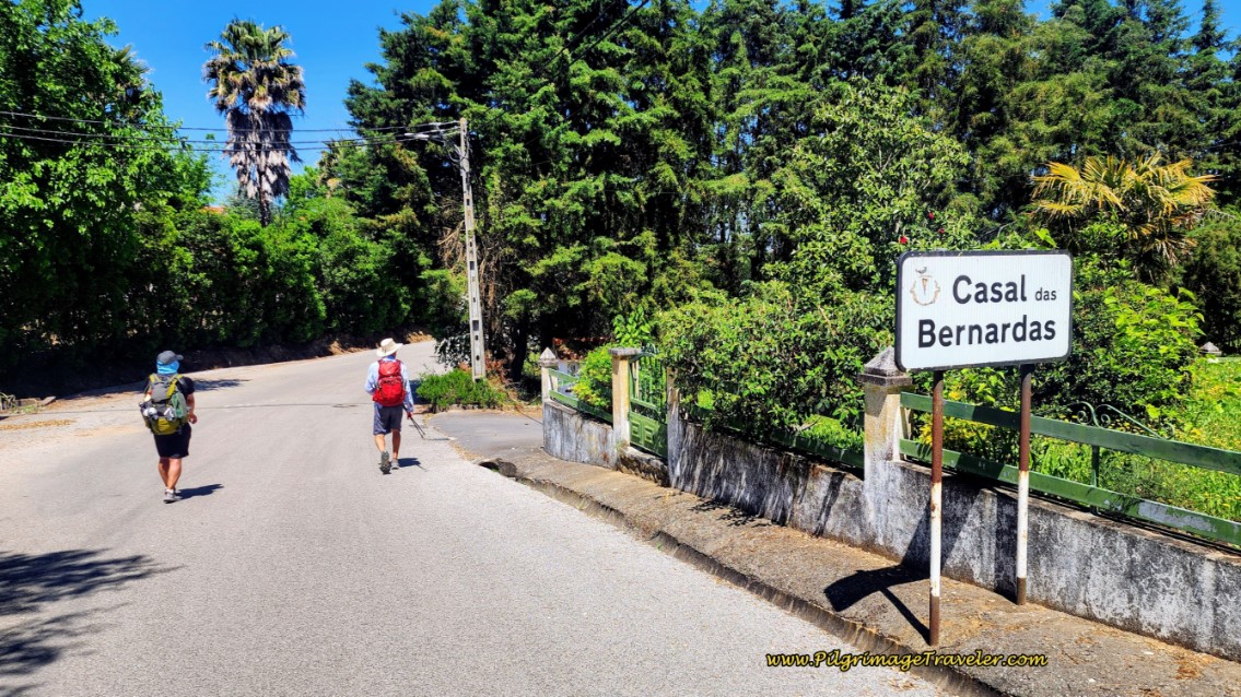 Entering Casal das Bernardas on Day Five, Camino Portugués
