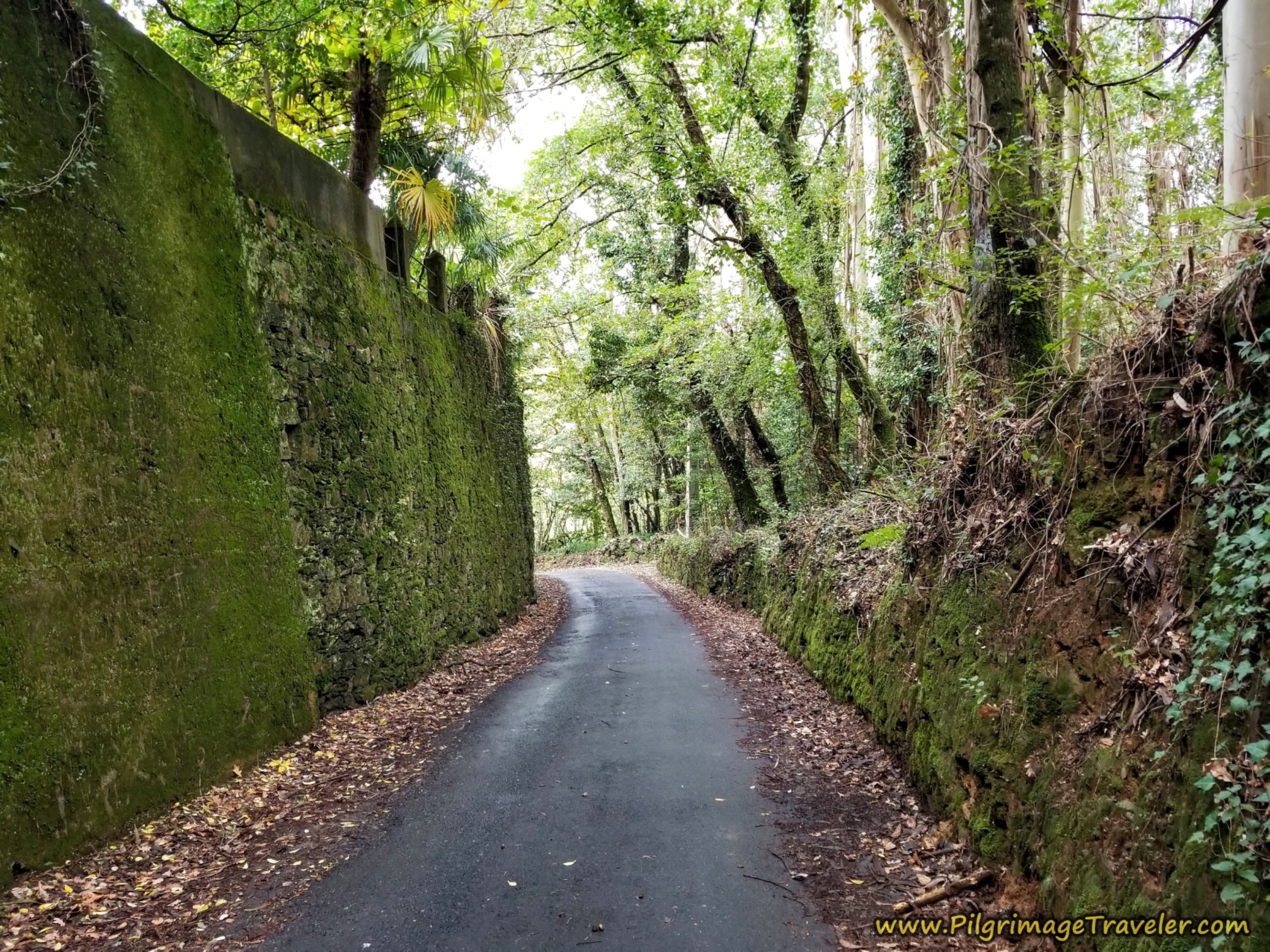 High-Walled Walk, Camino Sanabrés, A Bandeira to A Susana