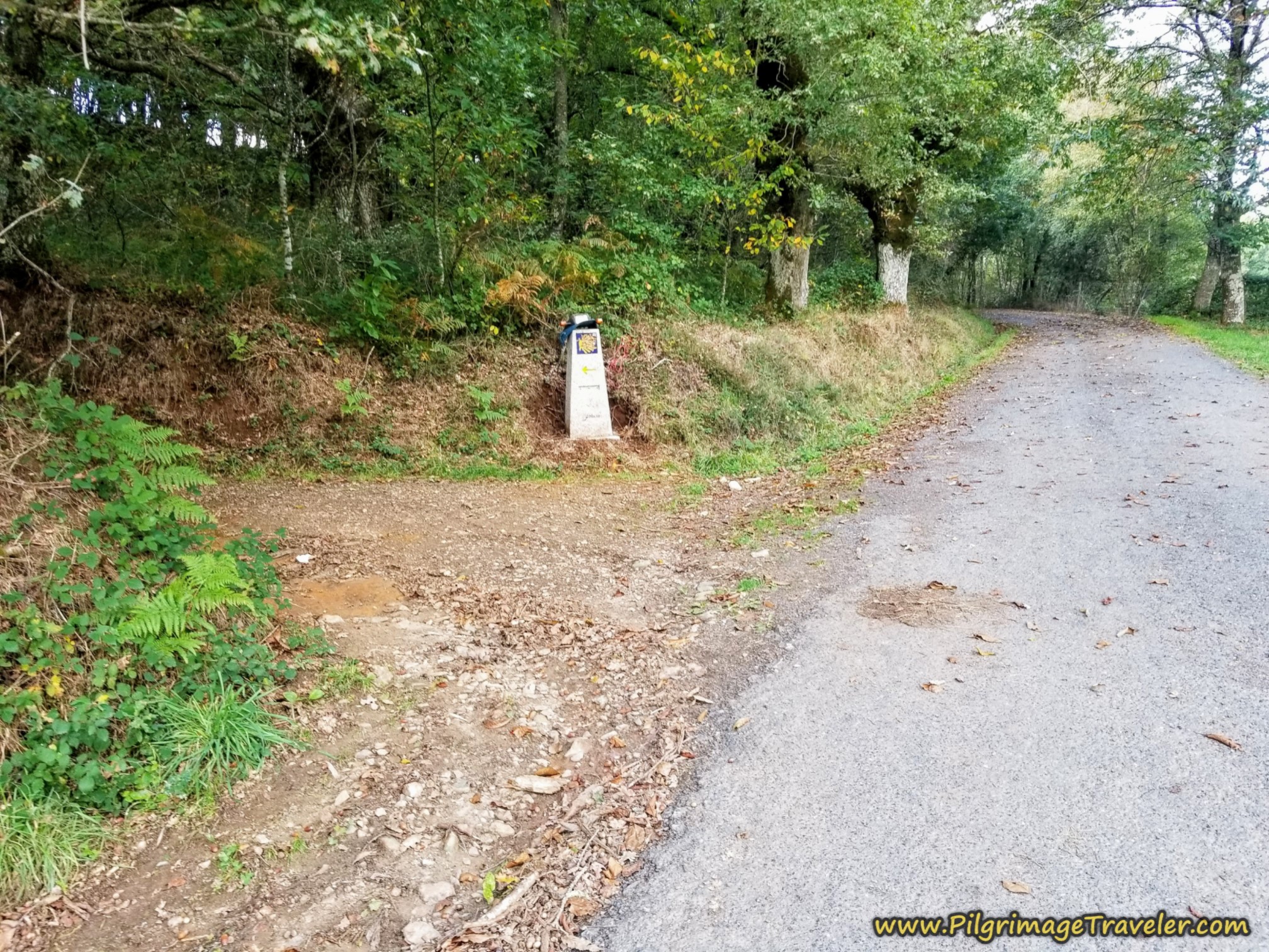 Turn Left From the Pavement, Camino Sanabrés, Cea to Estación de Lalín