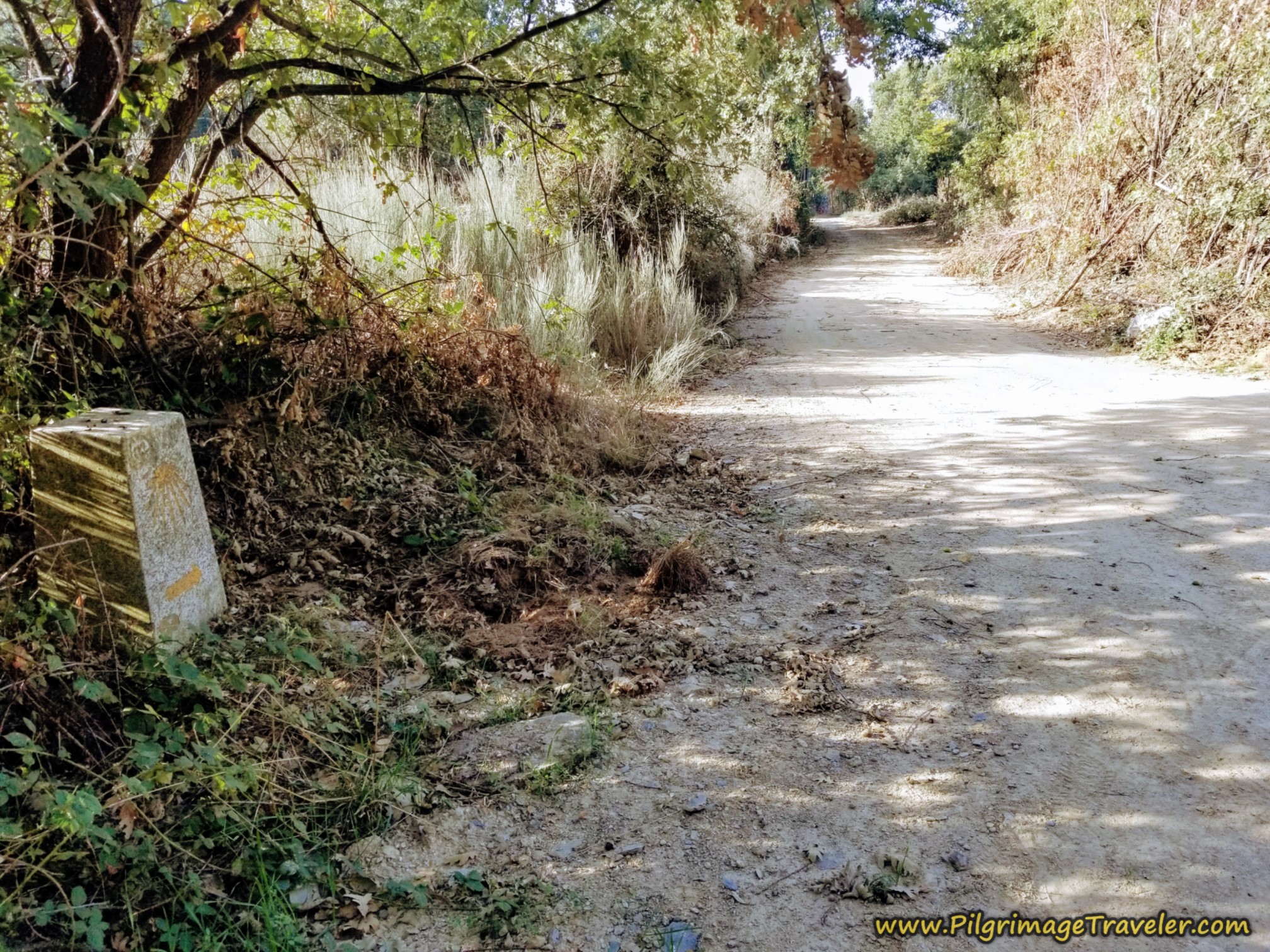 Right Turn Toward Otero de Sanabria