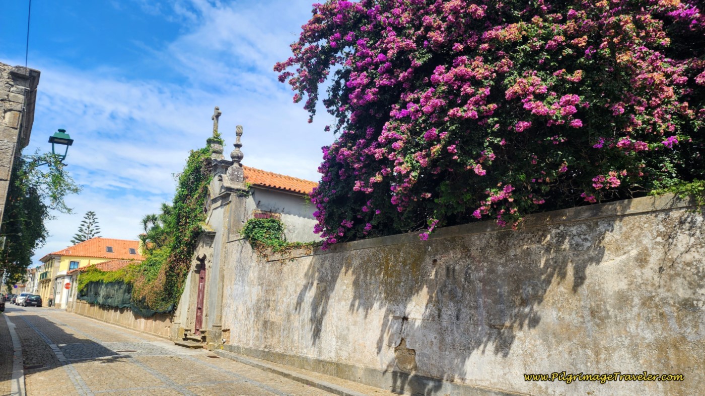 Ruined Gate in Azurara