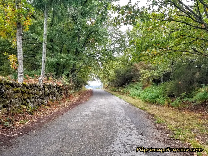 Saunter Down on Secondary Road