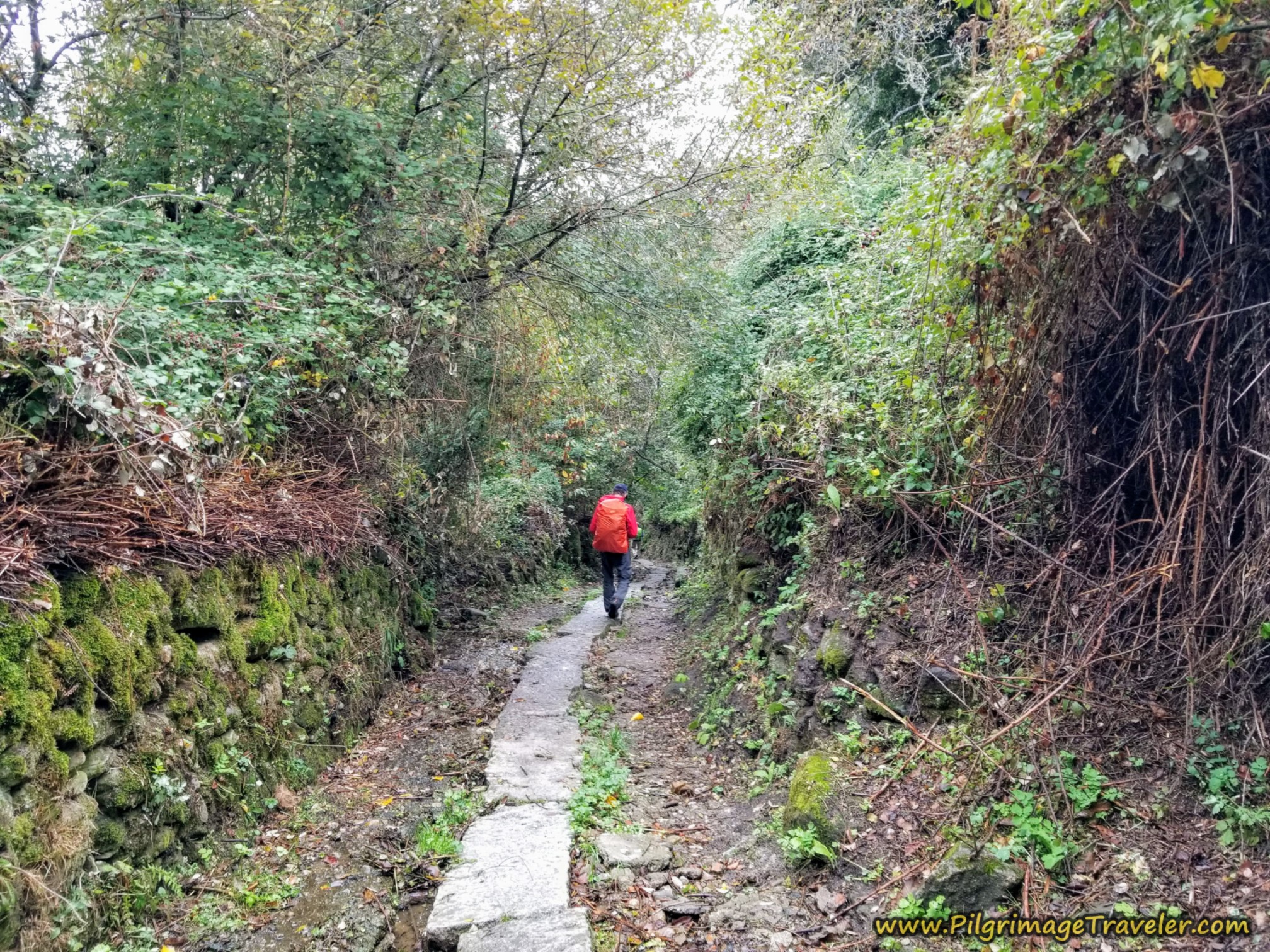 Lovely Stepping Stones