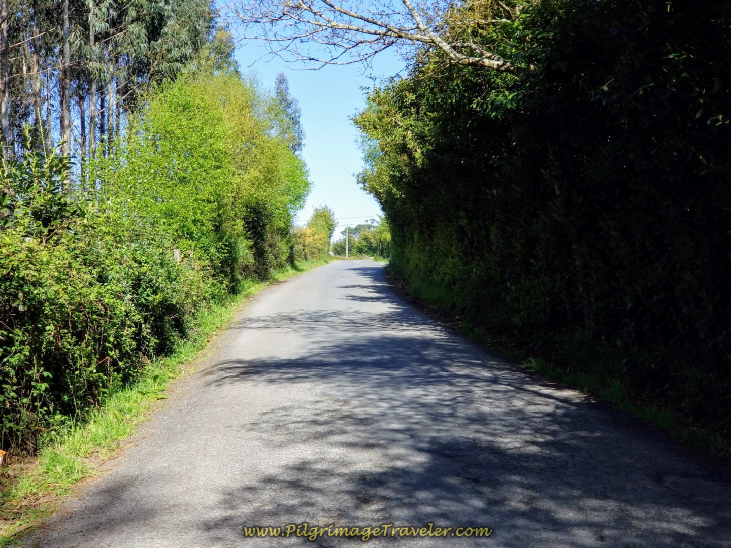Right Turn on Pavement Toward As Travesas on day six of the Camino Inglés
