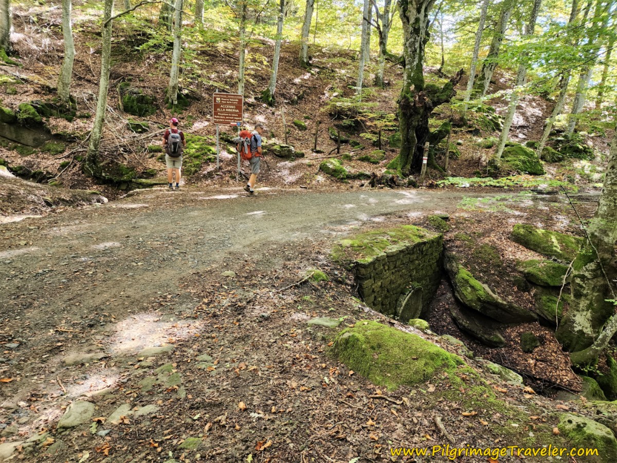 Walk Through Nature Reserve