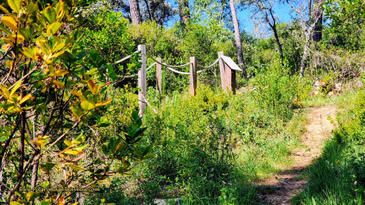 Visigoth Grave Behind the Rope