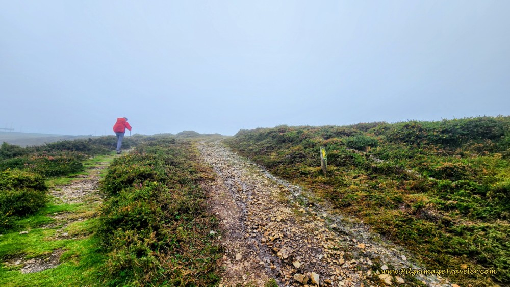 Nearing the Puerto del Palo - The Altitude Top