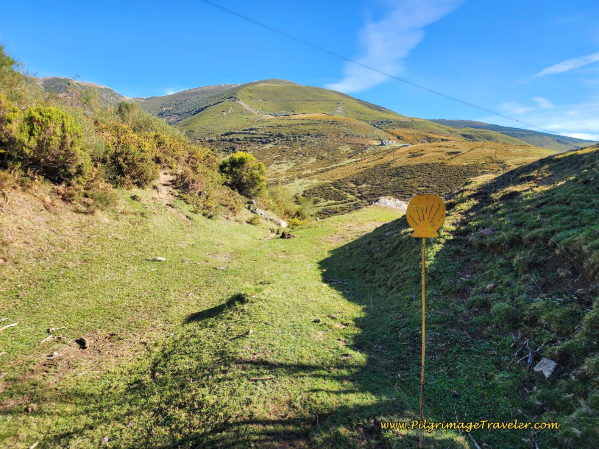 The Path Widens Briefly, Turn Left at Yellow Shell