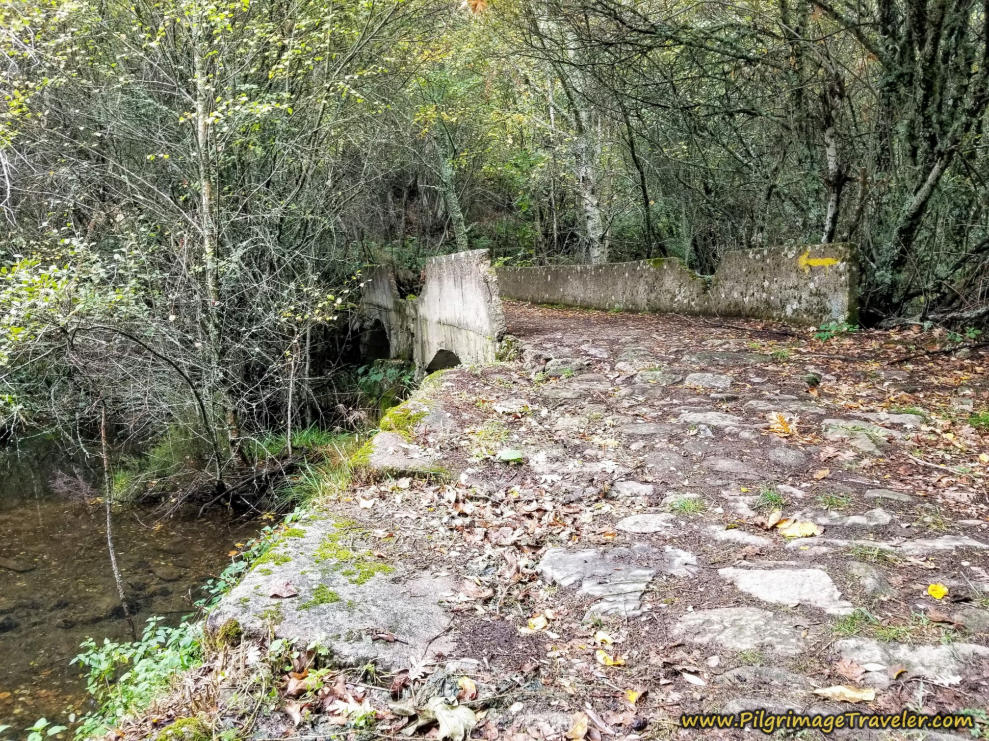 Cross Stream on Bridge