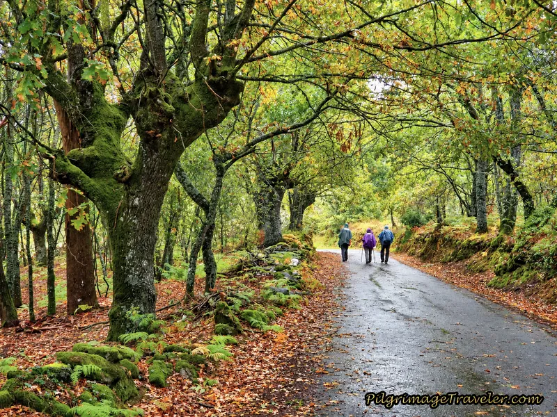 Paved Walk Toward the Albergue
