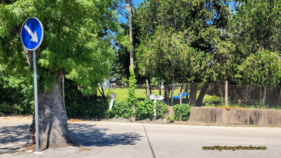 Sign to Tomar Points to the Right, Camino Goes Left
