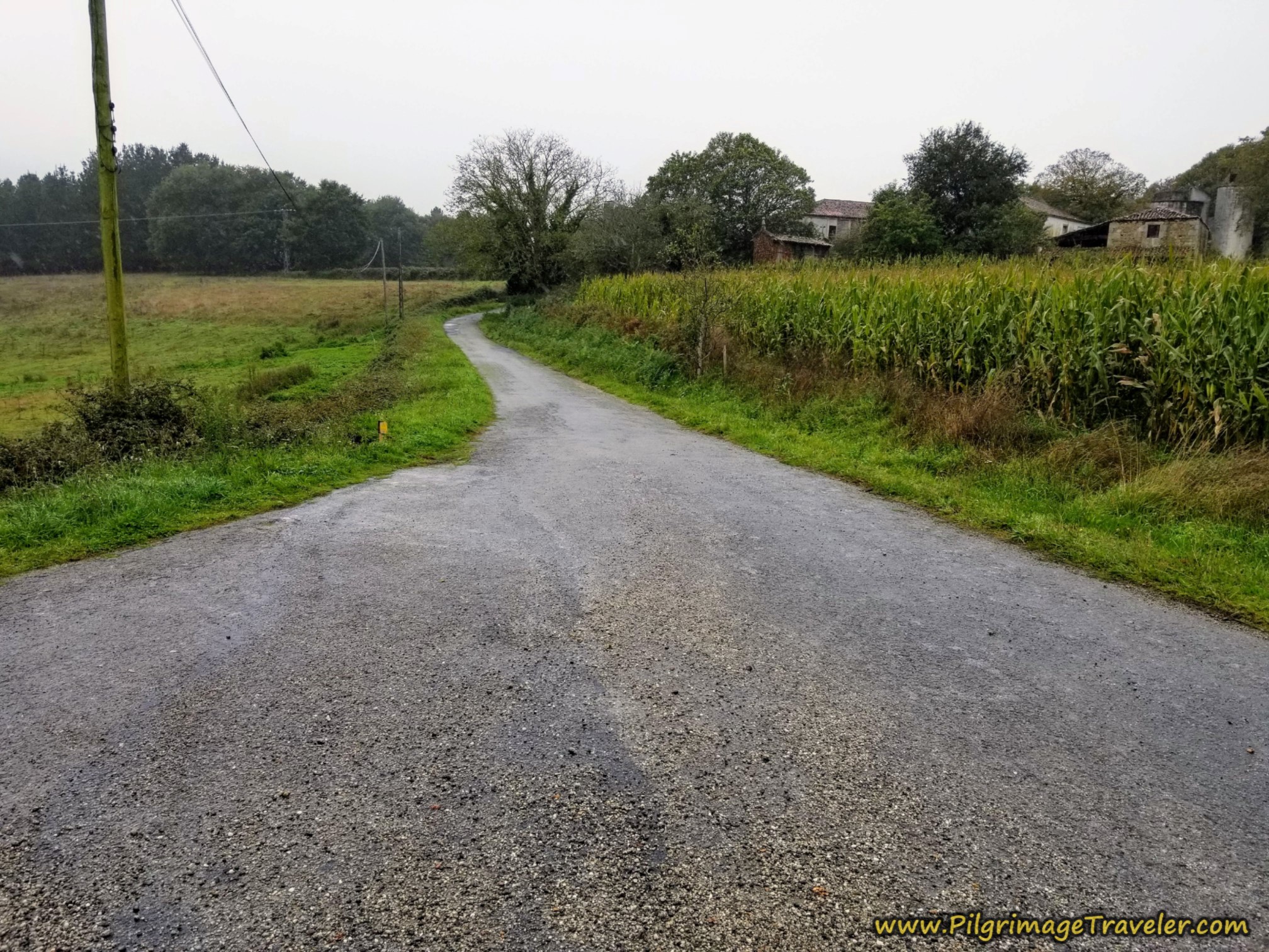 Left Turn Onto Tiny Lane Left Turn Onto Tiny Lane
