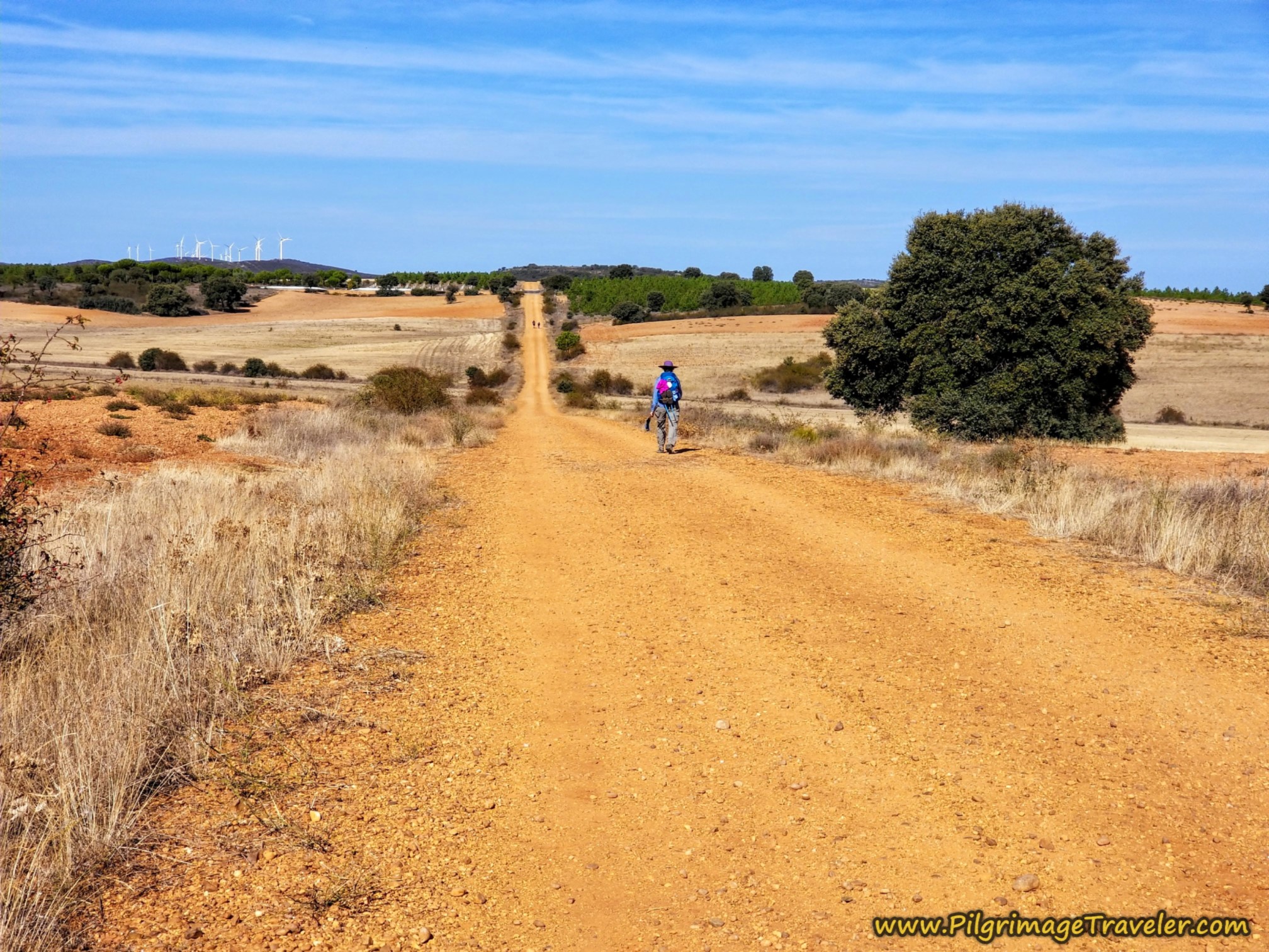 Nadine on Long Open Road on the Camino Sanabrés from Granja de Moreruela to Tábara