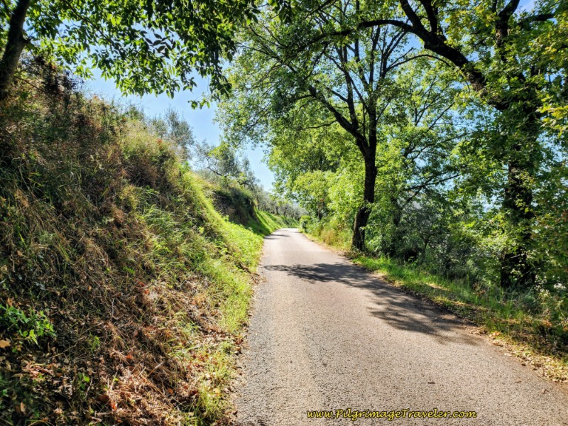 Way of St. Francis: Day Twelve, Spello to Trevi - Along the Quiet Strada San Donato