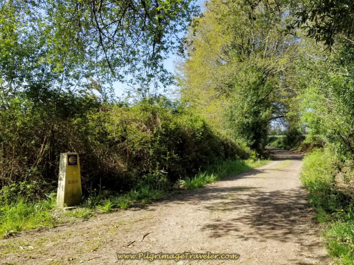 Softer, Shaded Dirt Lanes Begin on day seven of the English Way
