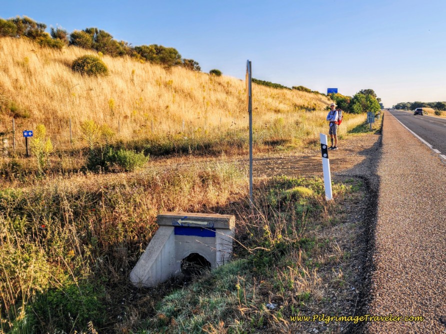 Detour Turns Back Toward Camino