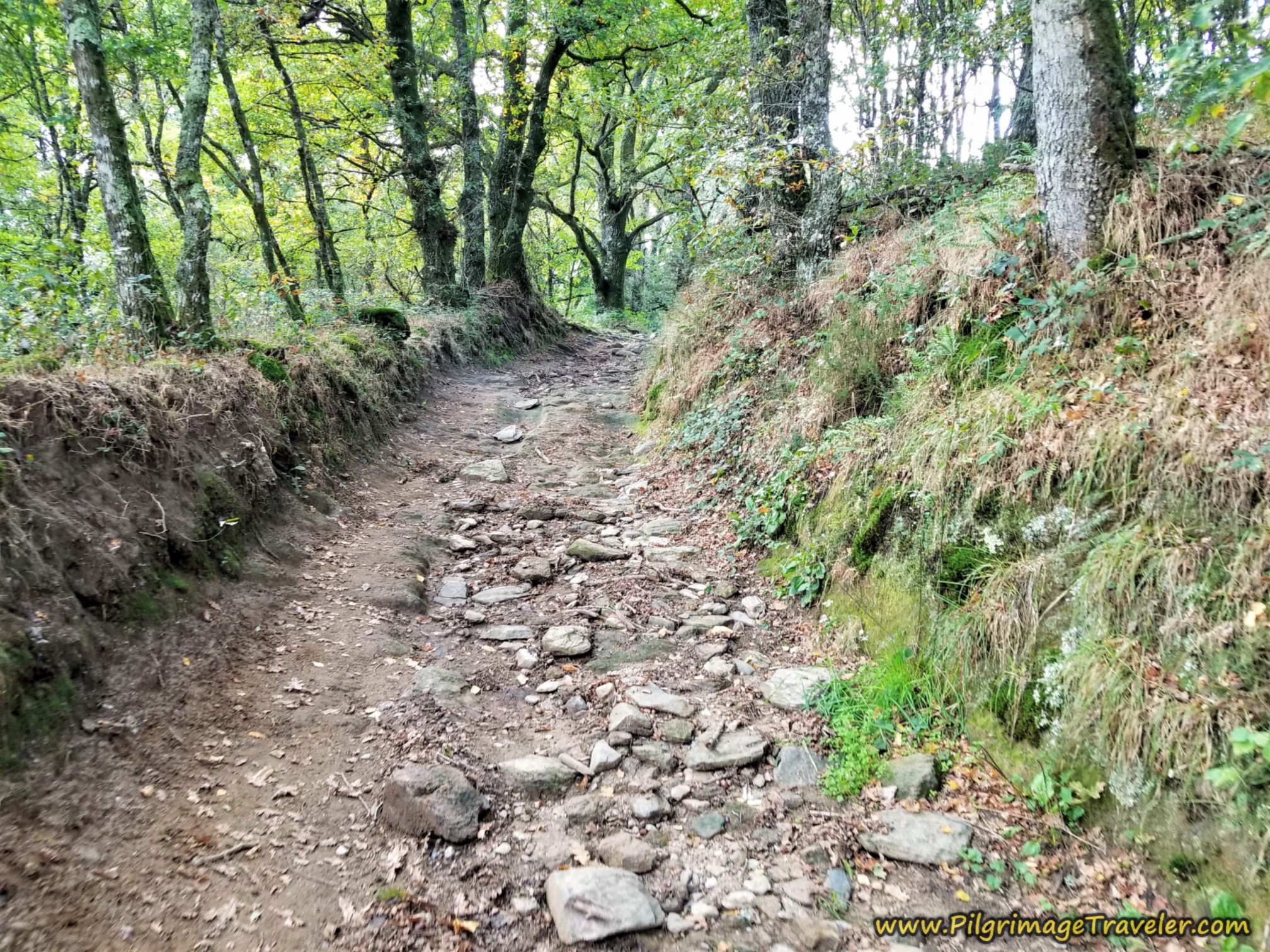 Another Uphill on a Roman Road