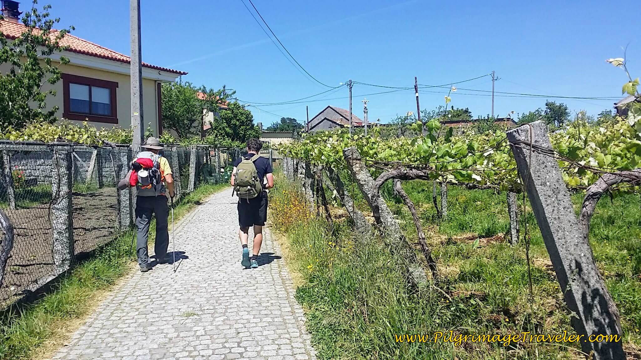 Rich and Mihai Walking into O Cruceiro on day twenty-three, Camino Portugués Rich and Mihai Walking into O Cruceiro on day twenty-three, Camino Portugués