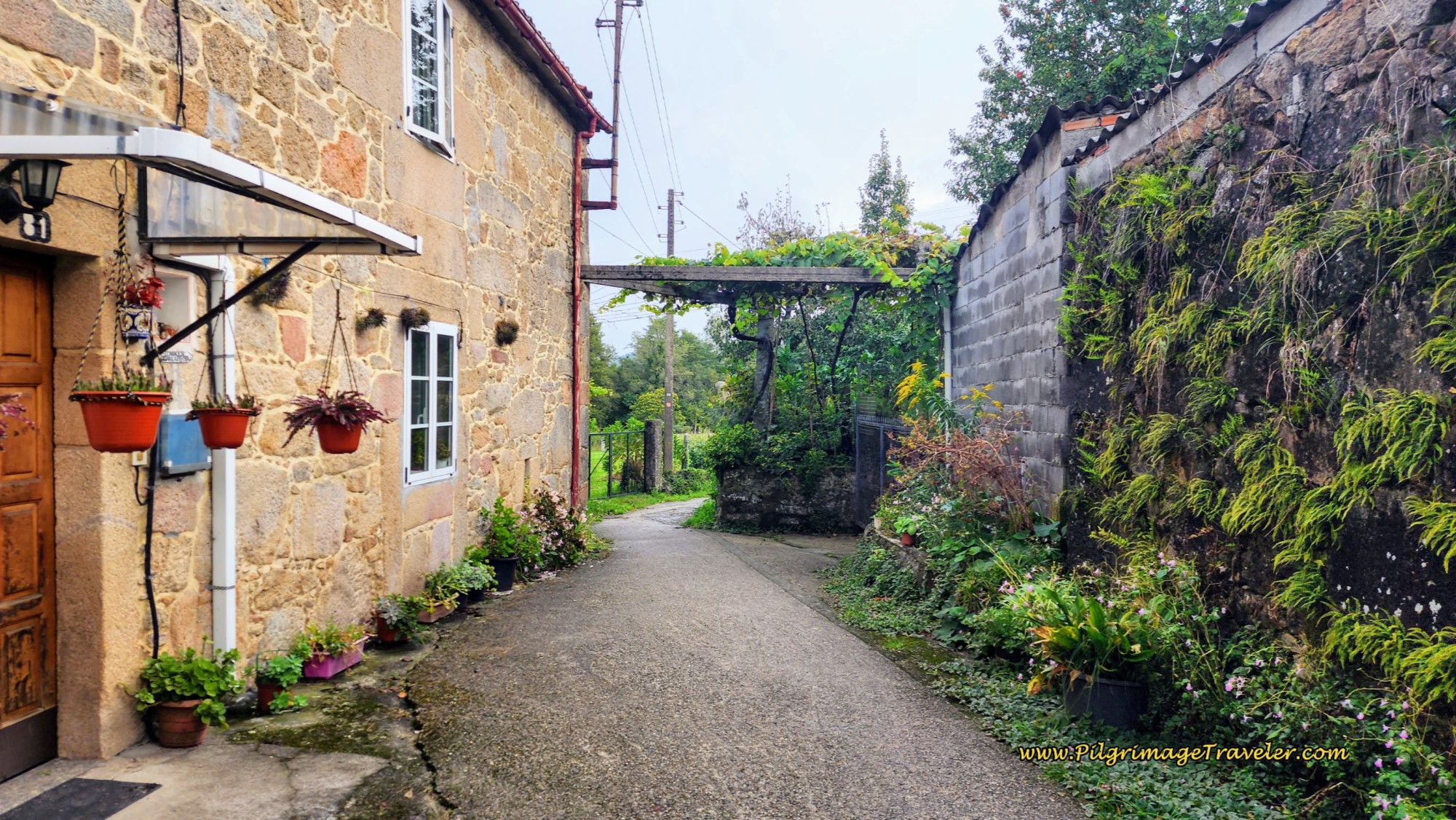 Walking Through A Angueira do Suso