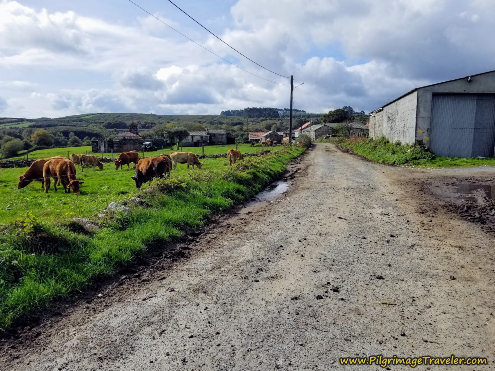 Camino Sanabrés - Day Fourteen: Cea to Estación de Lalín, 32 Kilometers (19.8 Miles), Part Two