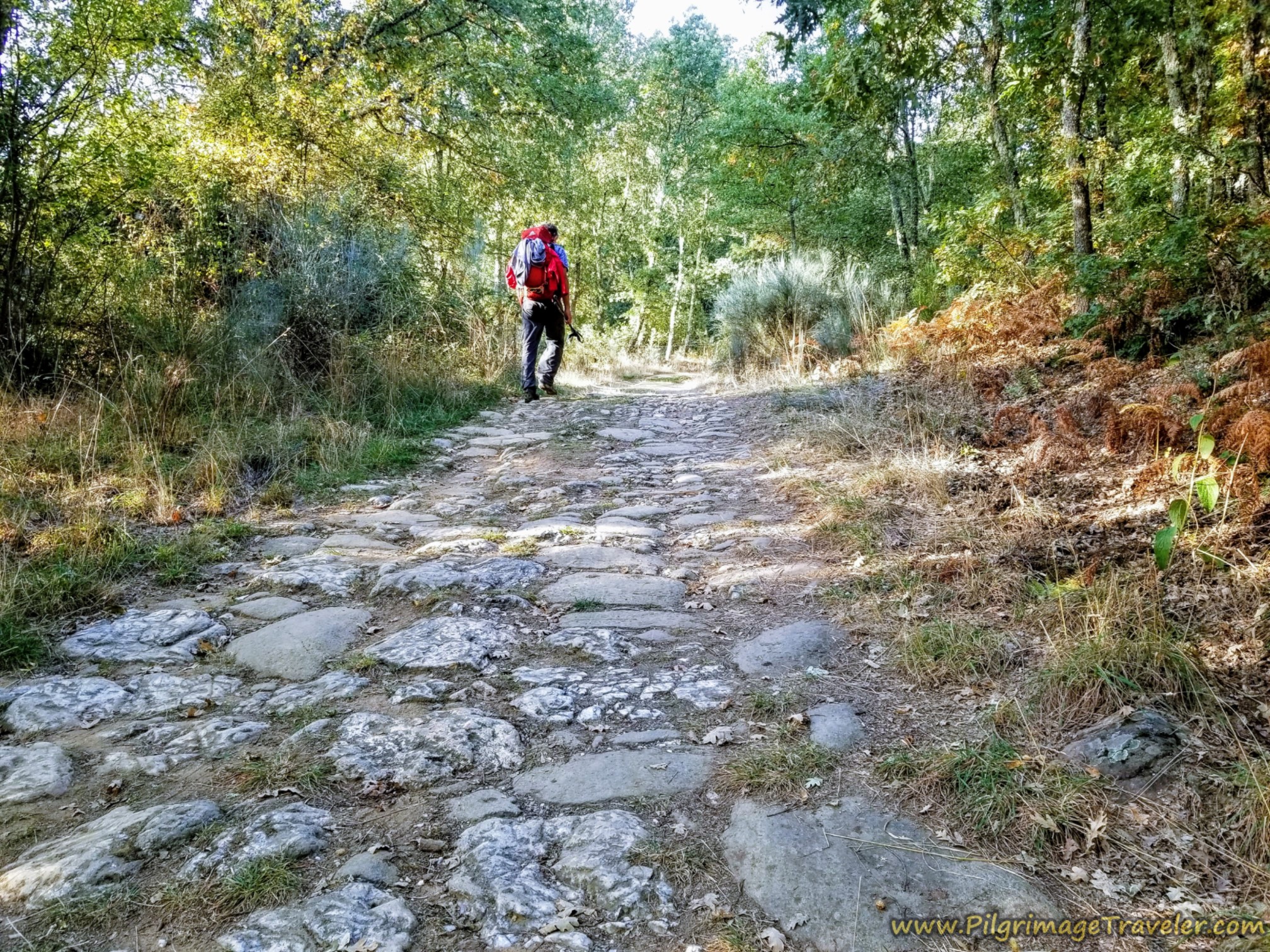 Paved Roman Road on the Way to Puebla de Sanabria