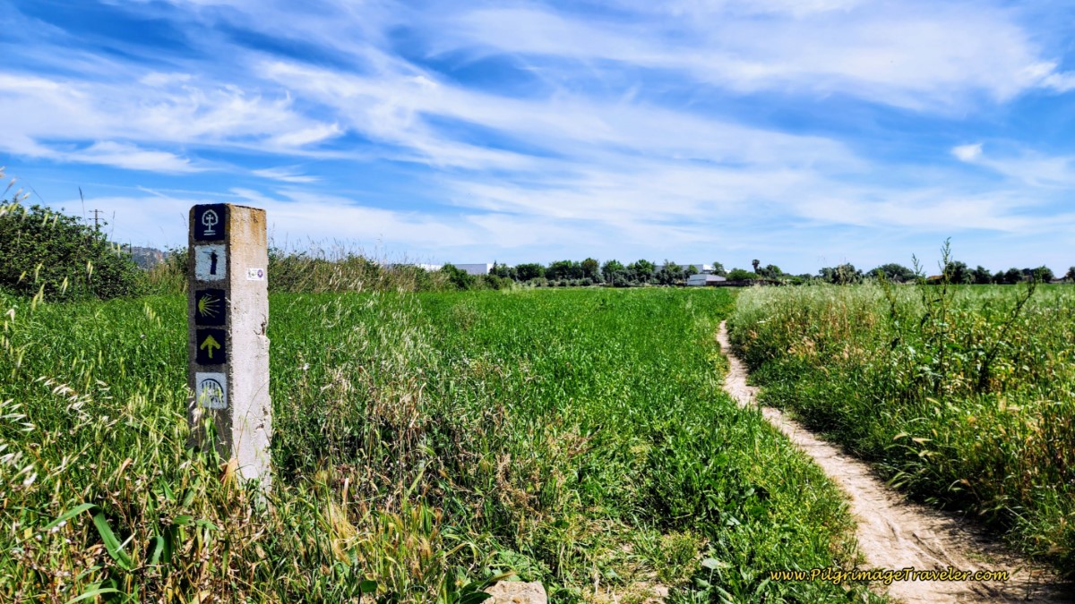Across an Open Field
