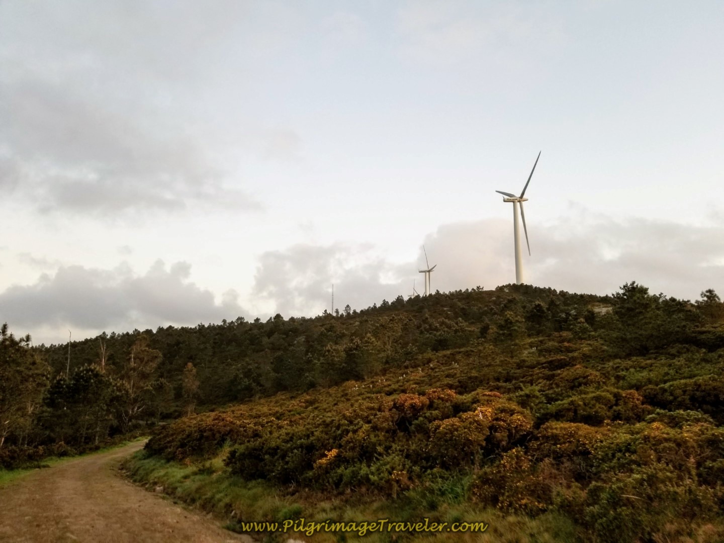 Camino Finisterre on Day Three Climbs Toward the Ridge