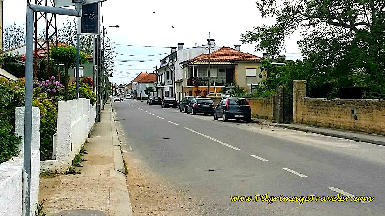 Entering Mourisca do Vouga