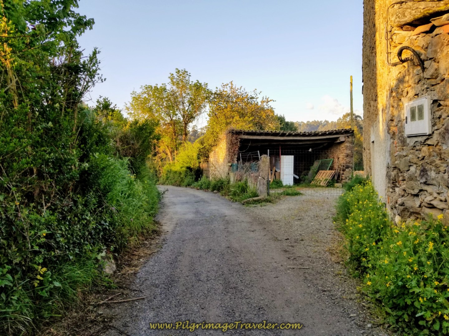 Immediate Left Turn Onto Farmer's Lane on day two of the La Coruña Arm of the Camino Inglés