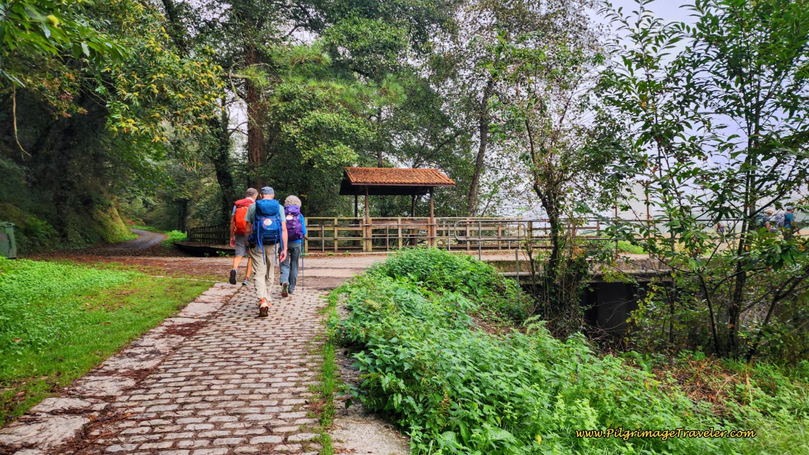 Turn Right at Picnic Grove Where Forest Path Ends
