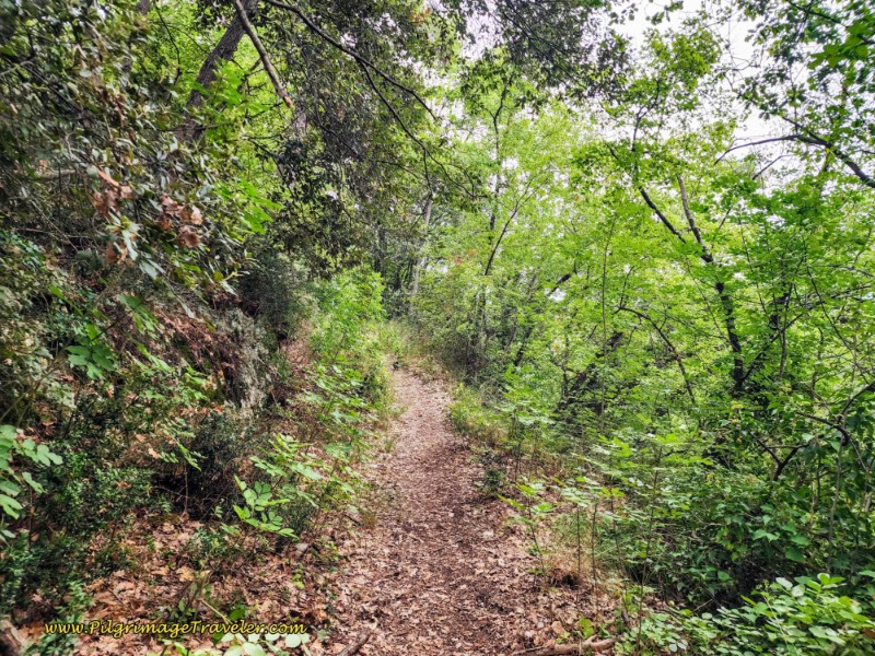 Way of St. Francis: Day Fourteen, Poreta to Spoleto - The Initial Narrow Path