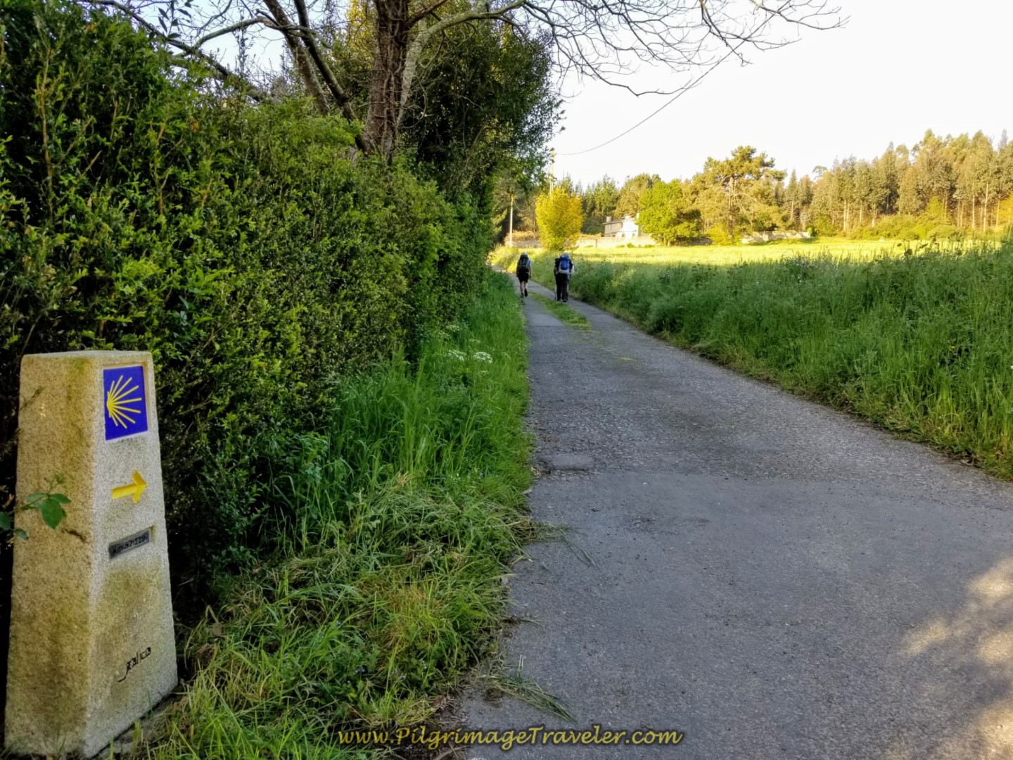 Right Turn by the 52 Kilometer Marker on day six of the Camino Inglés