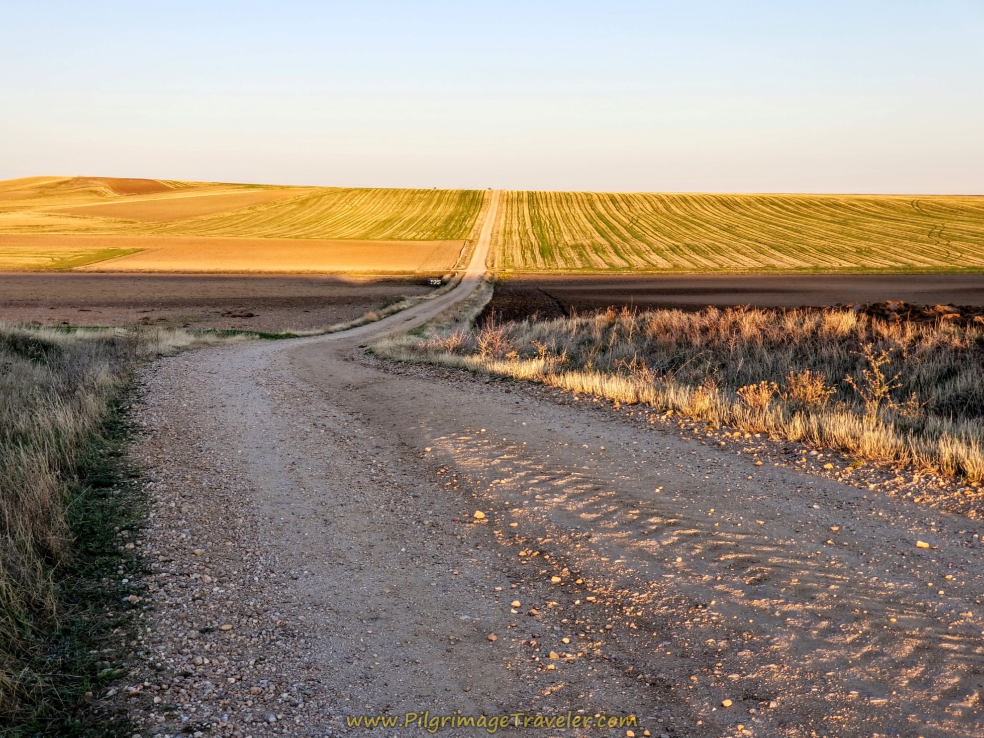 Sunlit Rise in the Horizon