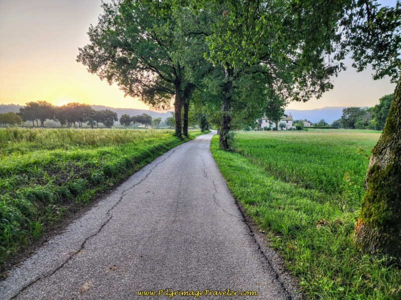 Way of St. Francis: Day Twelve, Spello to Trevi - Along the Rural Via Giacomo Brodolini