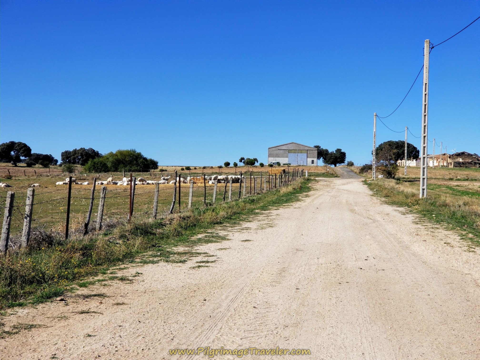 Straight On Open Lane