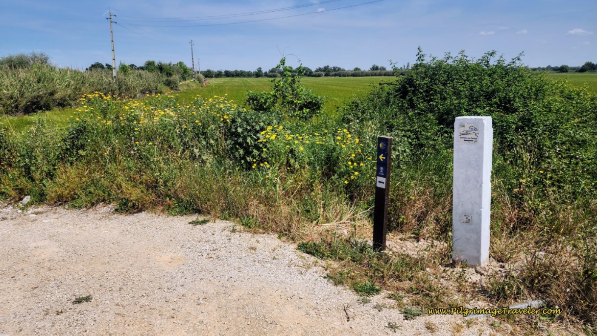 Waymark After Bridge